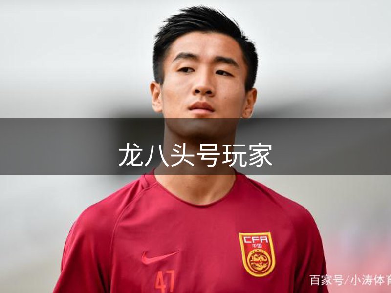龙八头号玩家简介